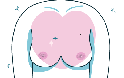 prestation aréoles mammaire 3D