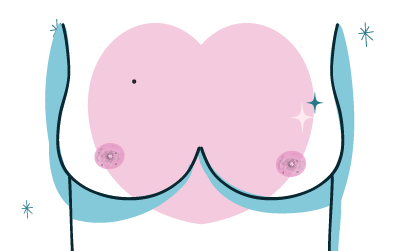 Harmonisation des aréoles